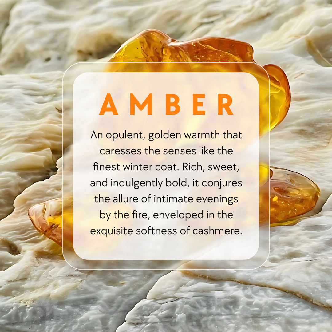 AMBRE VANILLE – Elegant Woodsy Fragrance