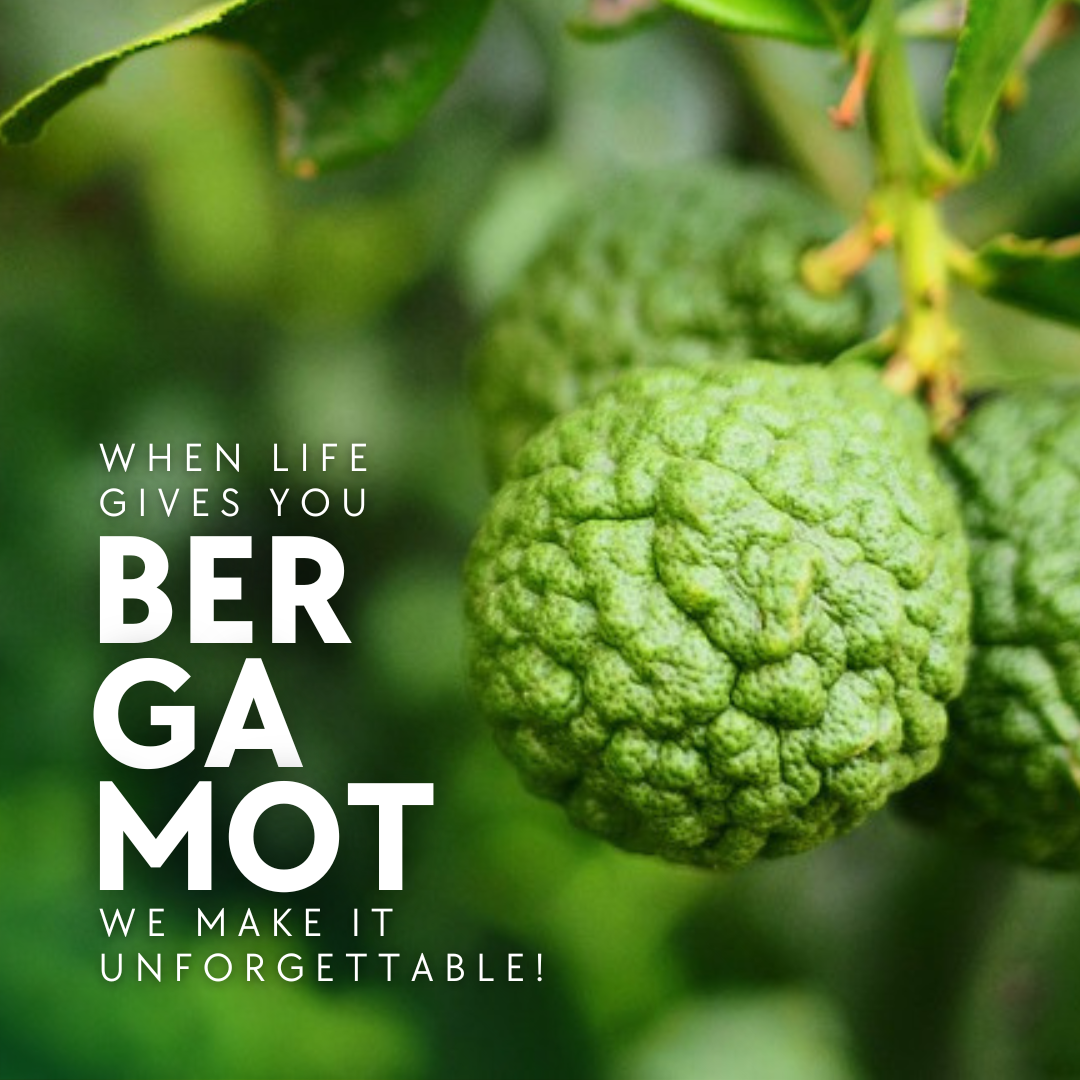 BERGAMOT SOLEIL