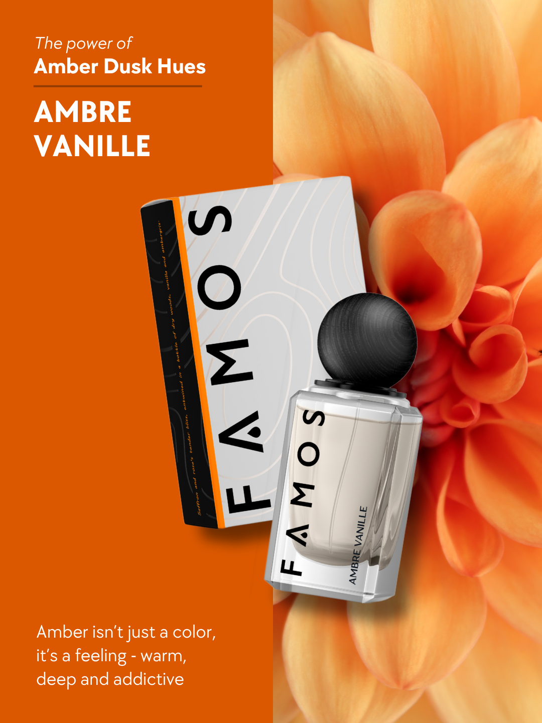 AMBRE VANILLE – Woodsy Fragrance